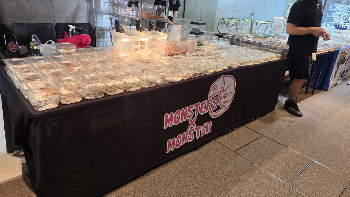 あまやどり tweet media