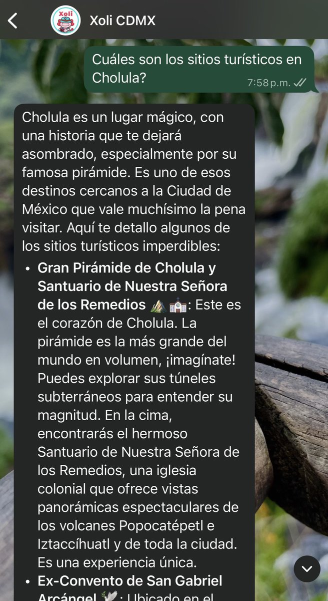 N3ssM's tweet photo. @ClaraBrugadaM Lamentablemente el bot que han implementado tiene áreas de oportunidad. Al parecer solo conectaron la API al chat con algunos parámetros contextuales sin control en la respuesta. Esto puede derivar en gastos de tokens e incluso brechas de seguridad.
Comparto evidencias. https://t.co/XPMiXVULTe