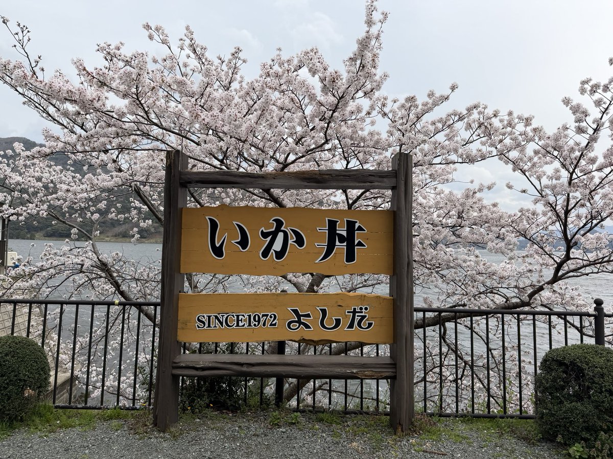 はじめまして、かなちゅうです。 tweet media