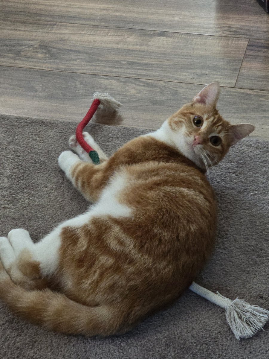 💭💖✨ tweet media