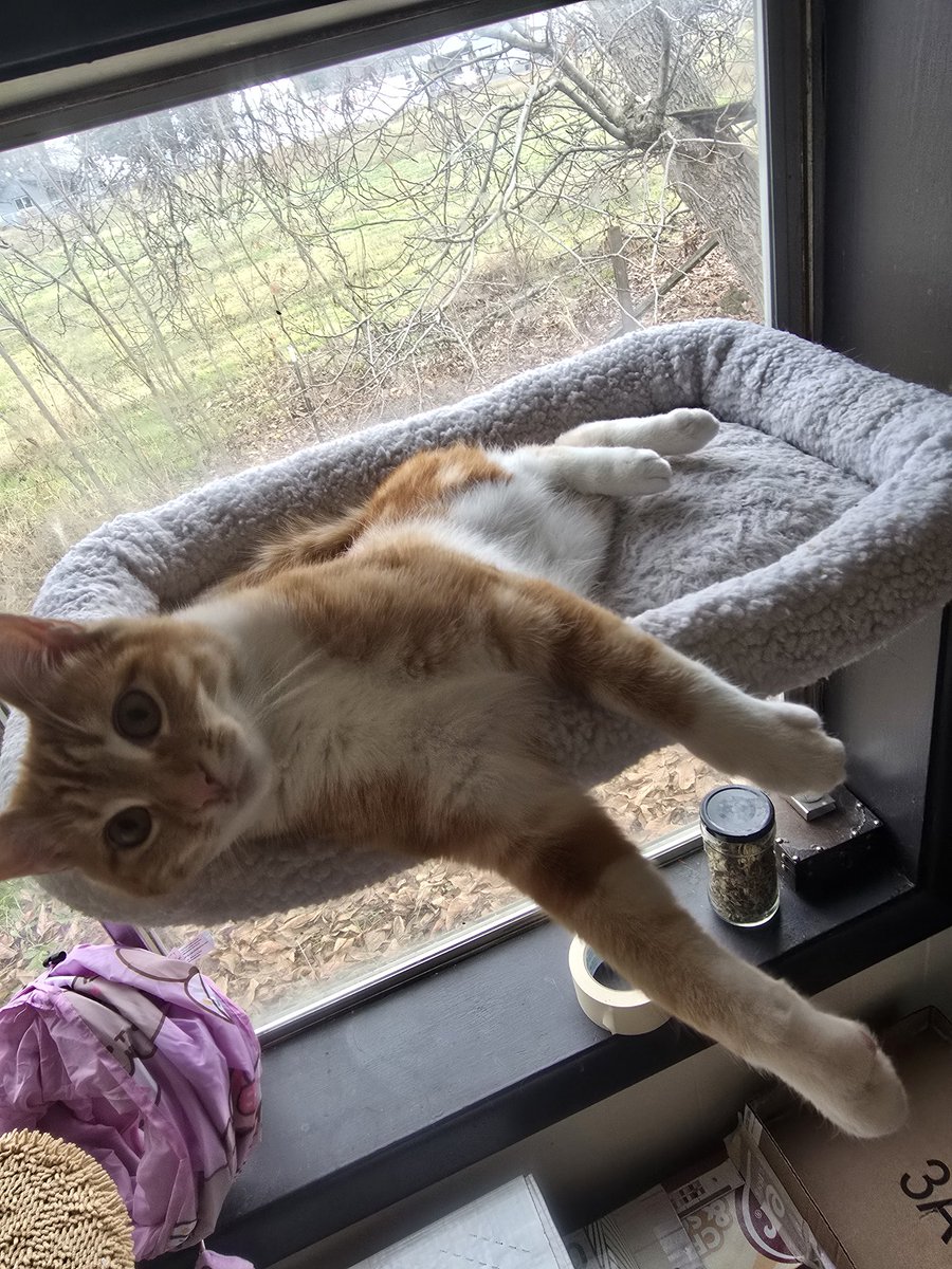 💭💖✨ tweet media