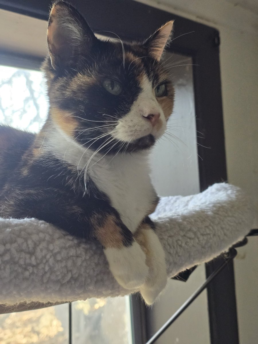 💭💖✨ tweet media