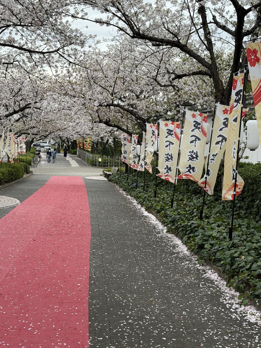 Erwin Vollmann🎗 tweet media