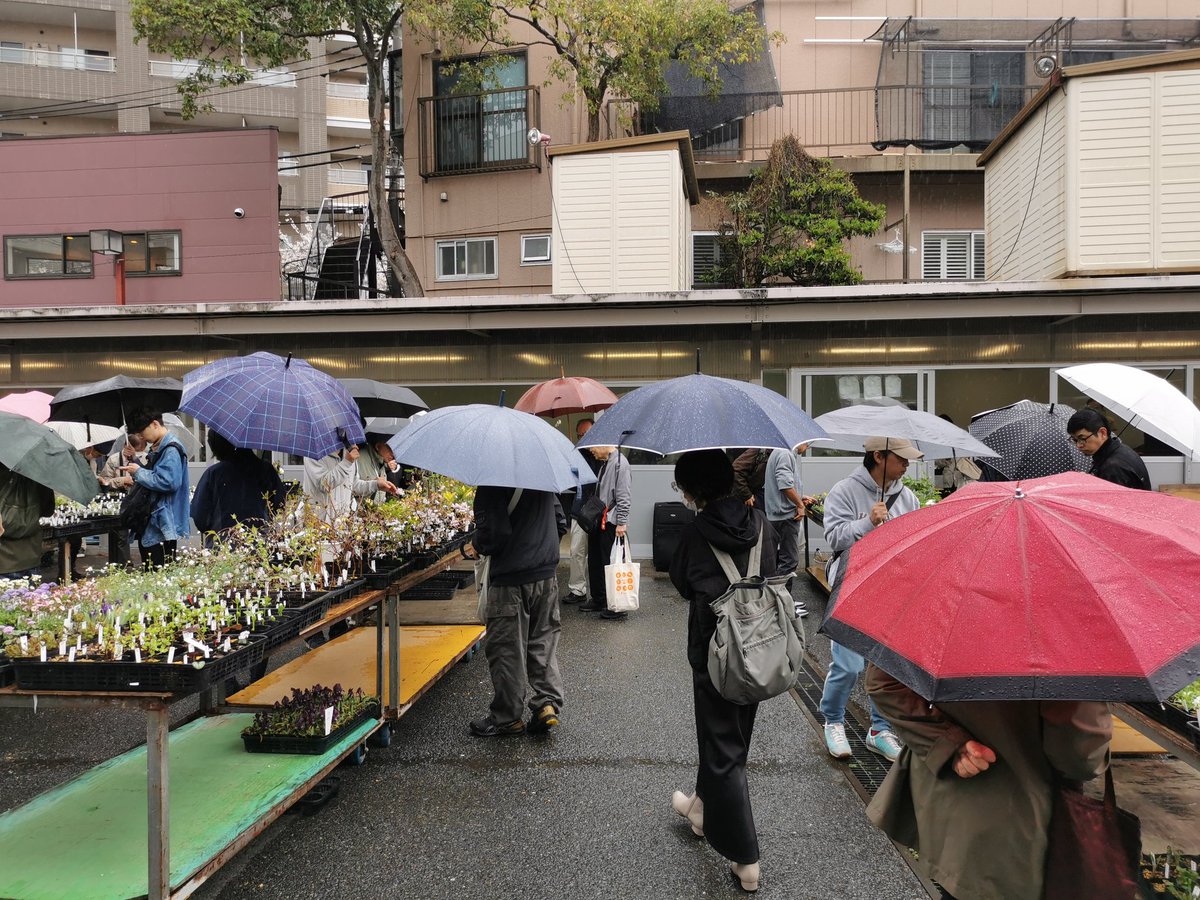 株式会社中越植物園 Chuetsu Garden Studio tweet media