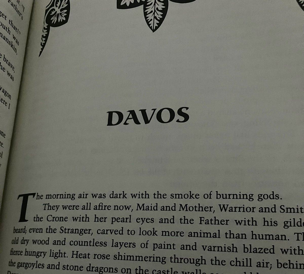 splat 🛡️🌳🐉 tweet media