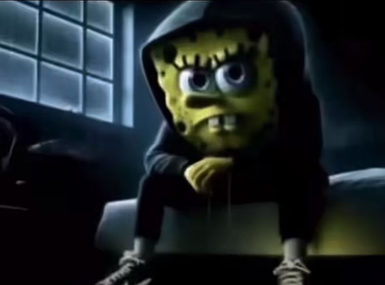 schivinga tweet media