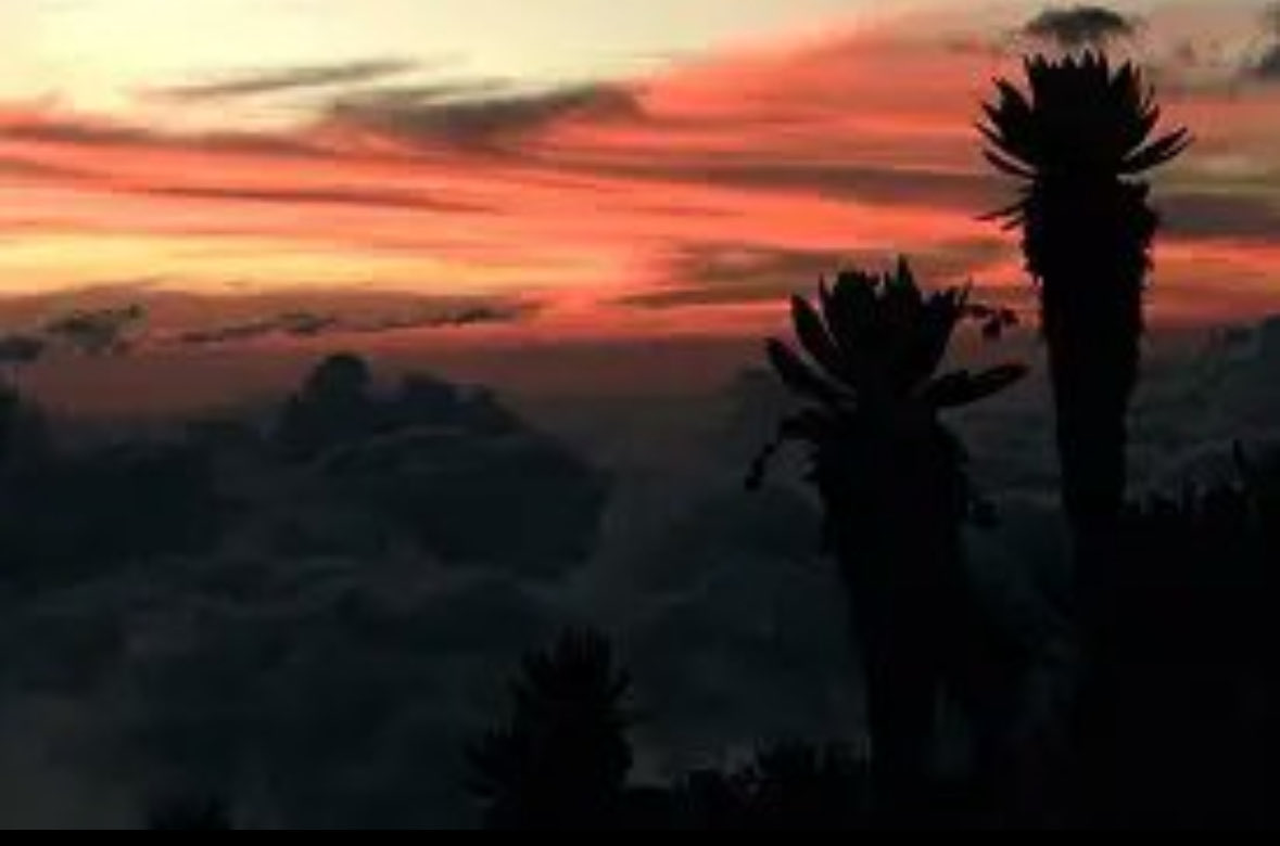 محمد سليمان الراجحي tweet media