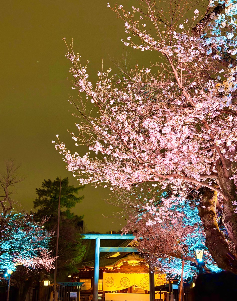 広瀬有希 tweet media