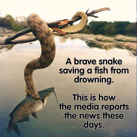 rabbitholebot tweet media