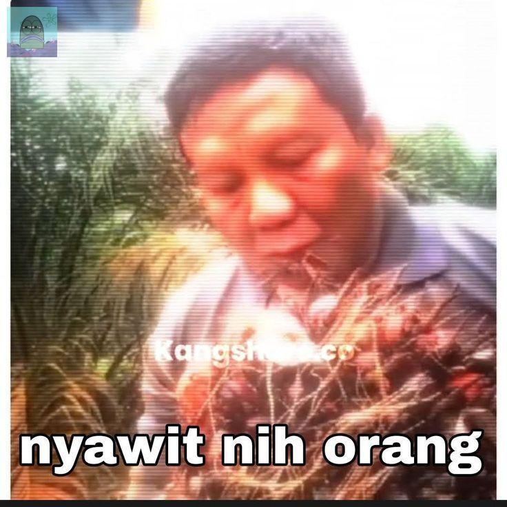 Tanyarl 💚 tweet media