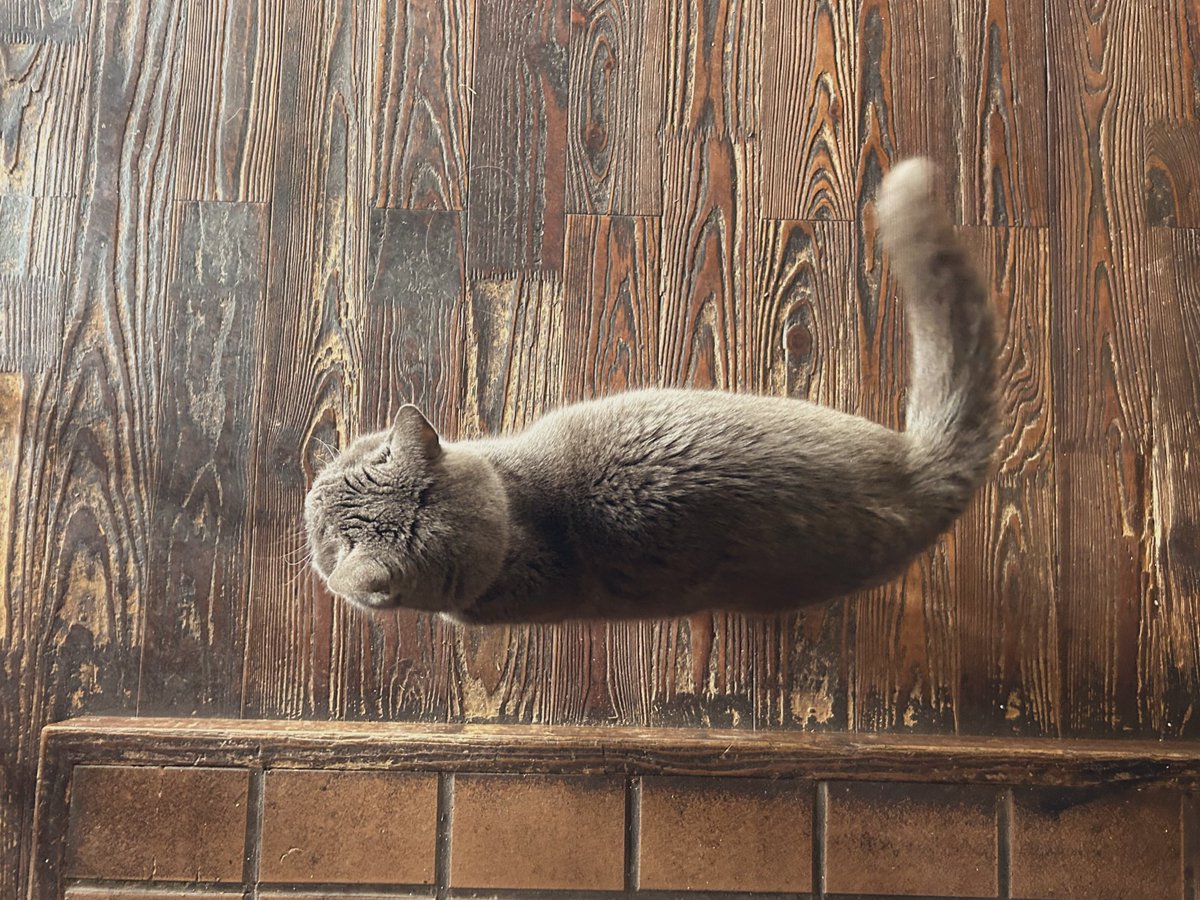 café pont chatポンシャ tweet media