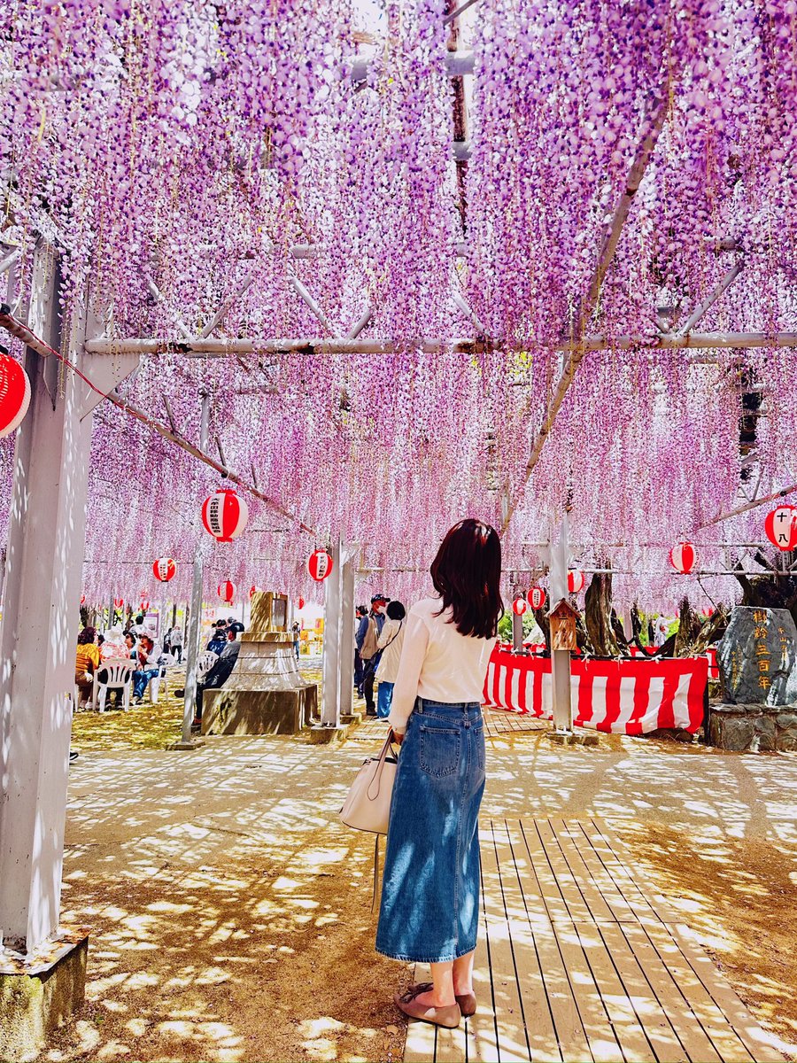 みーる🌷 tweet media