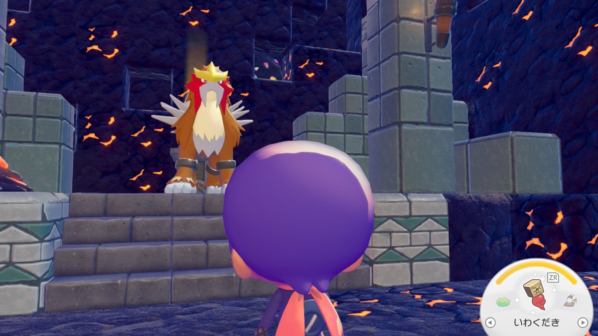 大将クママ tweet media