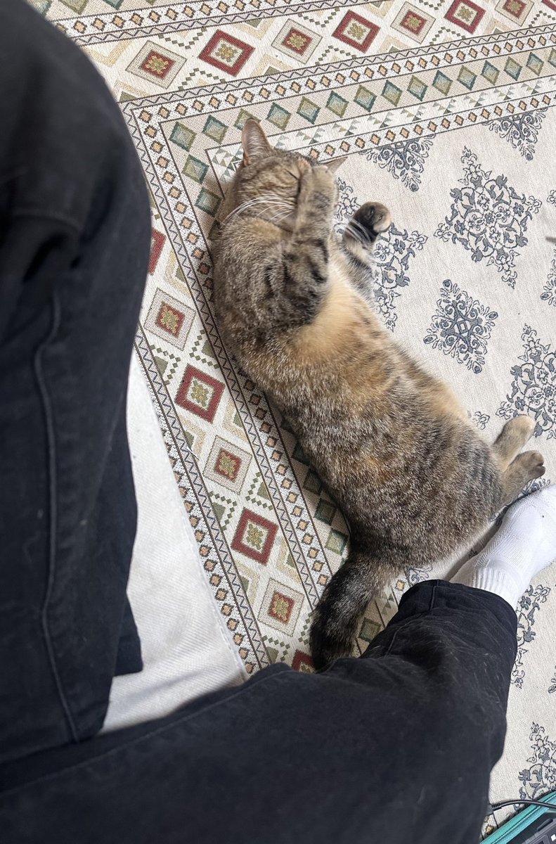 赤鬼 -H.M- tweet media