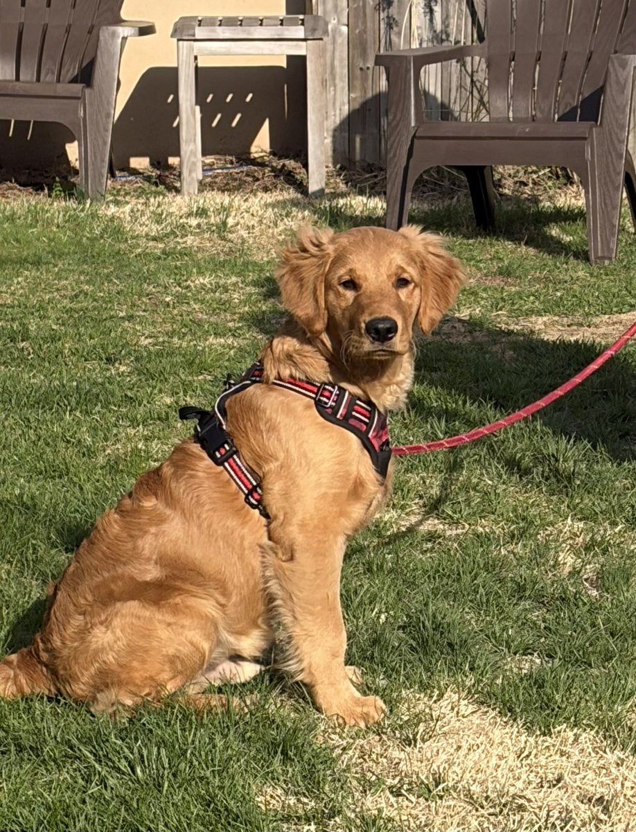 🕊💛IAM✨Light & Love Liz💛🕊 tweet media