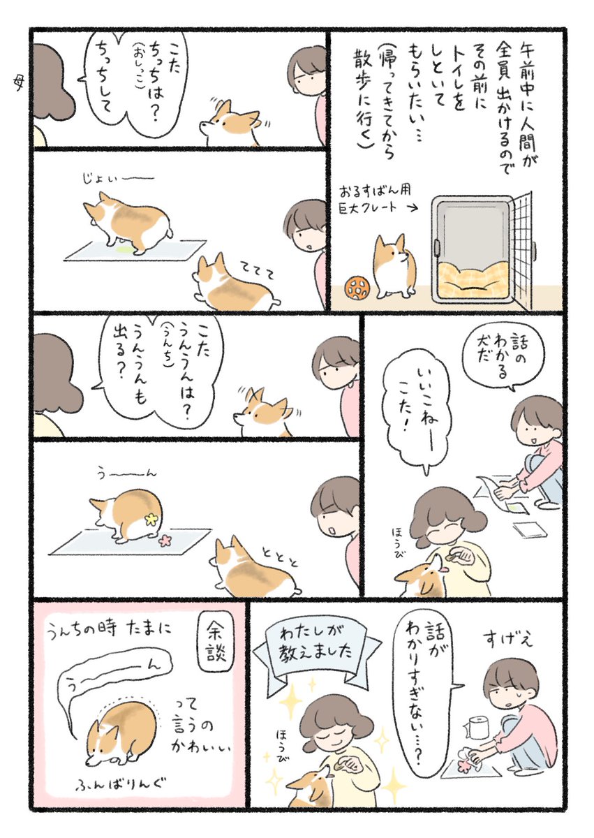 うみべの tweet media