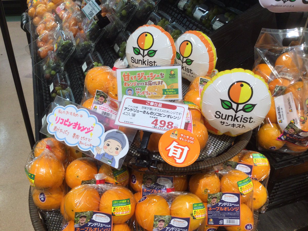 141summitstore's tweet photo. 青果コーナーからおすすめ商品と食べ方レシピのご紹介です❗️
「アンドリューさんのネーブルオレンジ」
甘くてジューシーなのでデザートやサラダ🥗にも🤗
絞ってオレンジ🍊ジュース🍹にしても良いですね😋

#サミット　＃ネーブルオレンジ https://t.co/60f7ZTPMi9