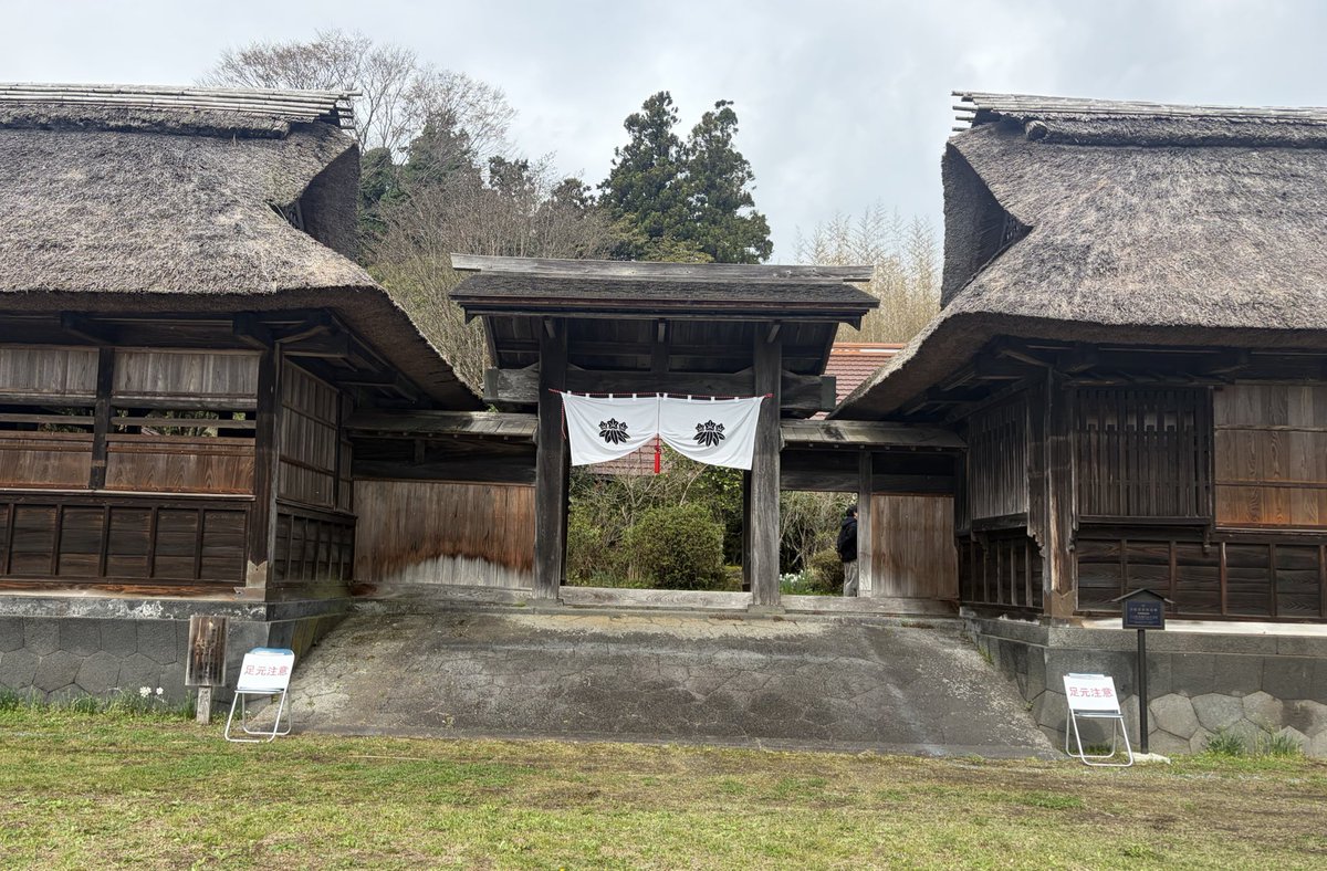 【富士宮】狩宿さくらまつりに参加中です🌸

源頼朝が1193年（建久4年）に催した「富士の巻狩り」で本陣とされた井出家前に立つ、樹齢800年を超える国内最古級のヤマザクラ。
国の天然記念物であり、日本五大桜の一つです🇯🇵

本日は9分咲き🌸見頃を迎えています。