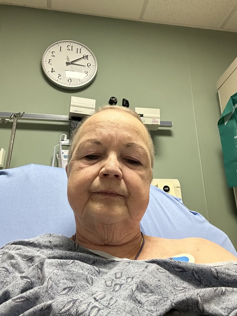 Blossom22 tweet media