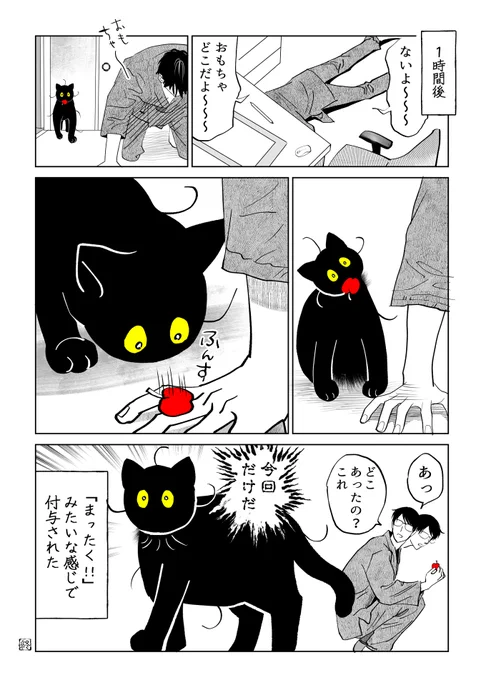 🐈‍⬛「こっち見んな」

(3/7) 