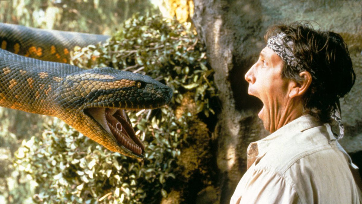 EDDIE @KingsFan👑 tweet media