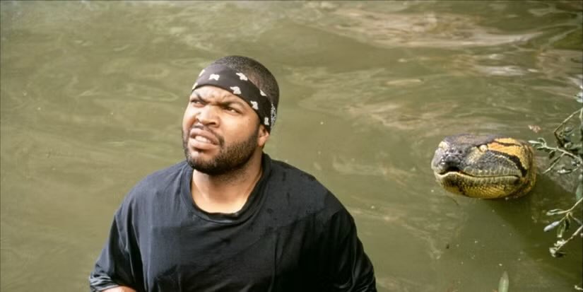 EDDIE @KingsFan👑 tweet media