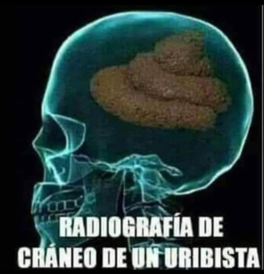 yo machiavello tweet media