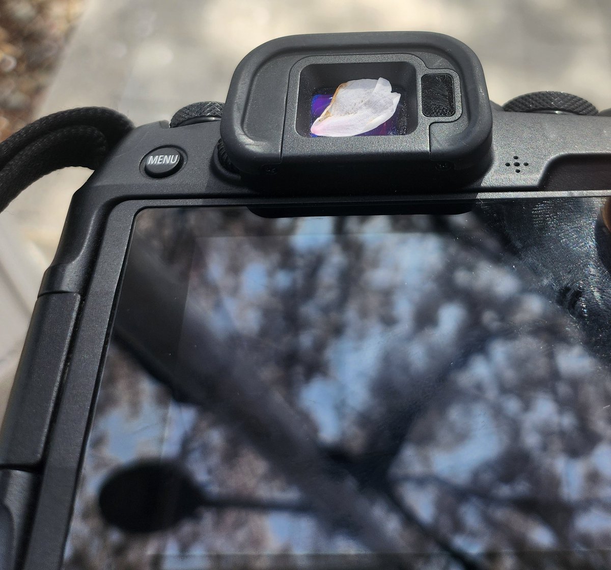 함바그 tweet media