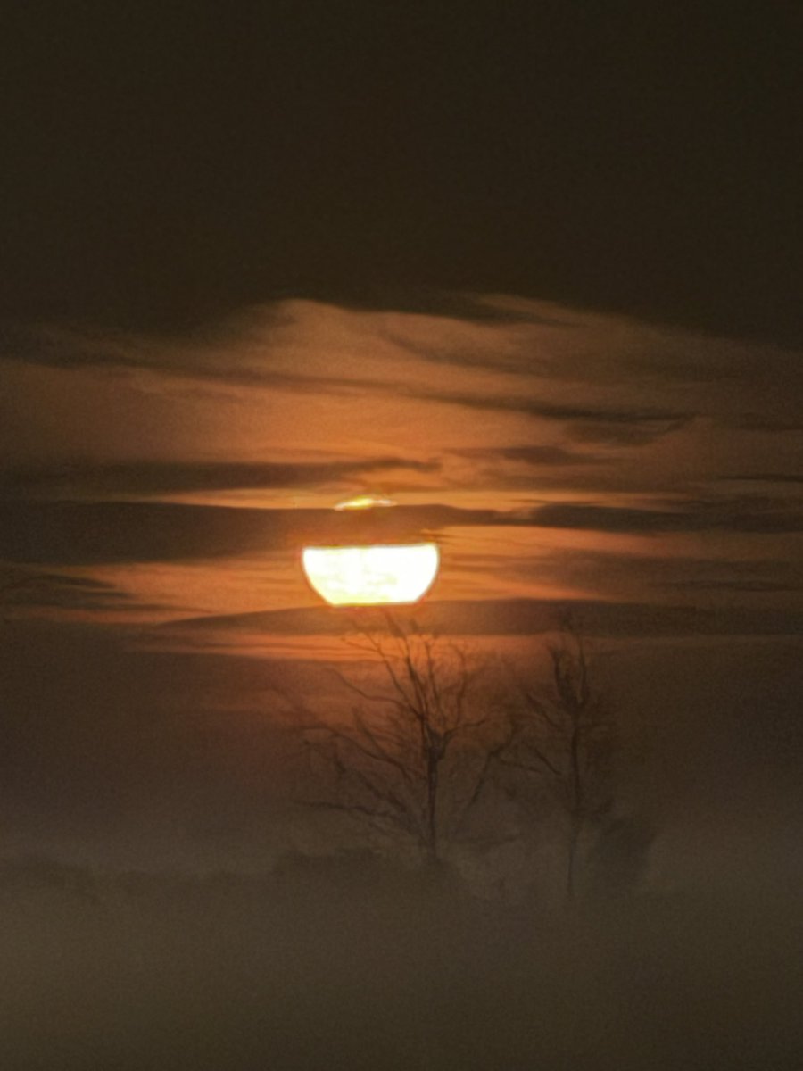 Crista Thacker •CT3• tweet media