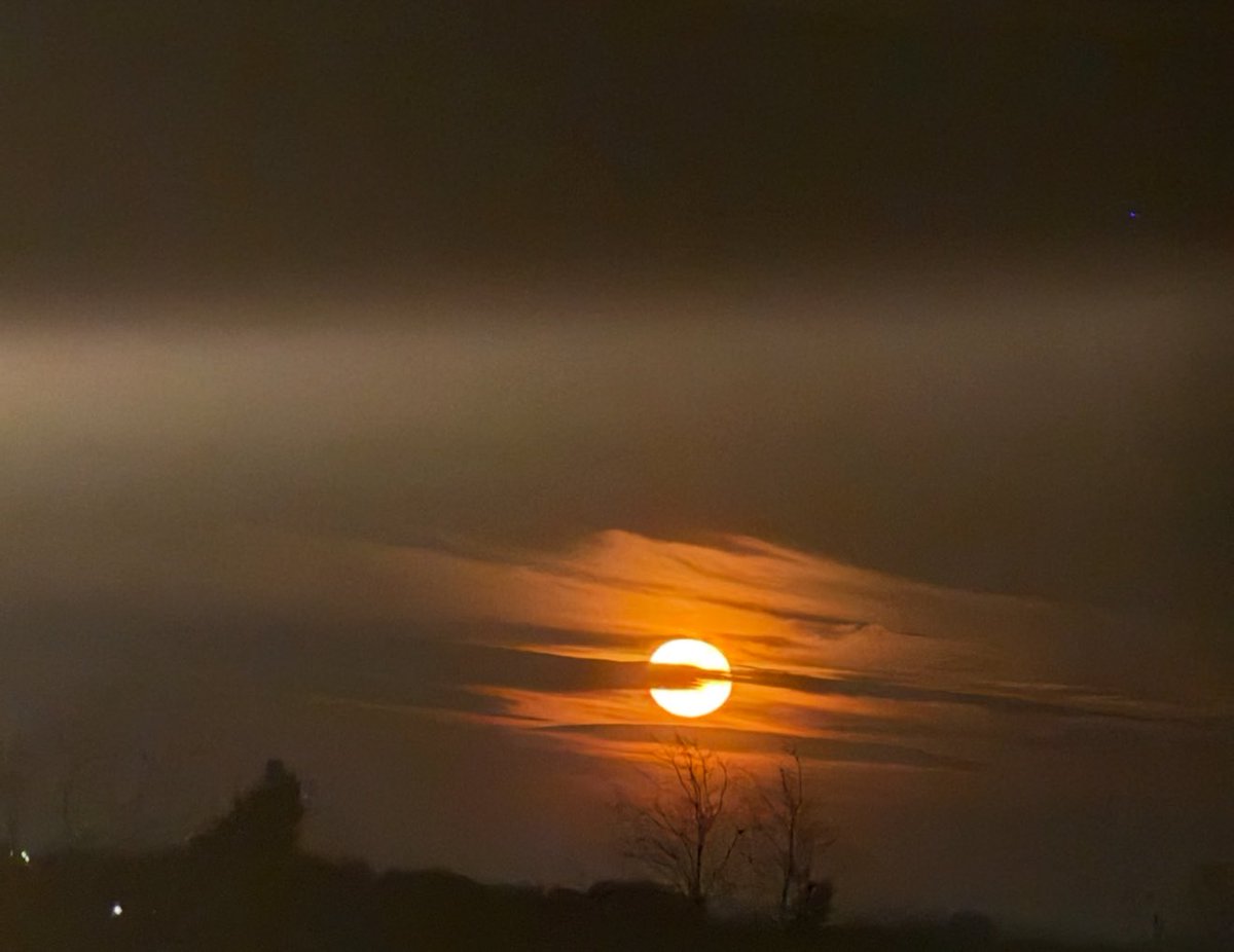 Crista Thacker •CT3• tweet media