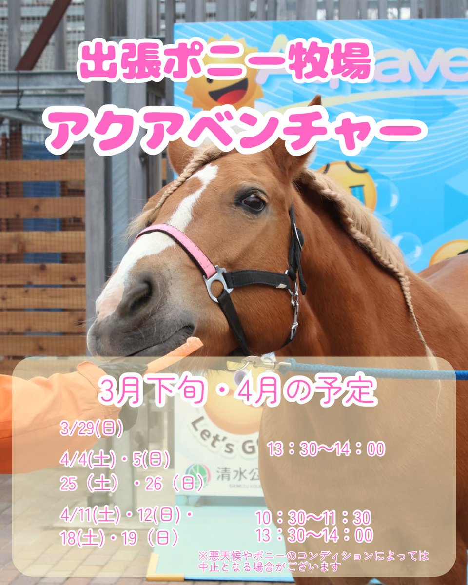アクアベンチャーで好評開催中の出張ポニー牧場ですが、本日雨天のため中止となりました。

次回は明日4/5(日)の予定です🐎