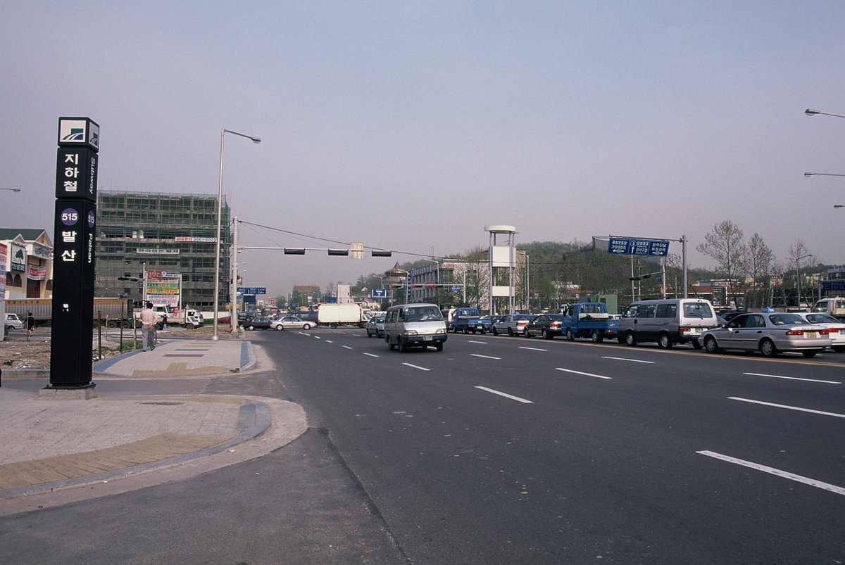 늘푸른소나무 tweet media