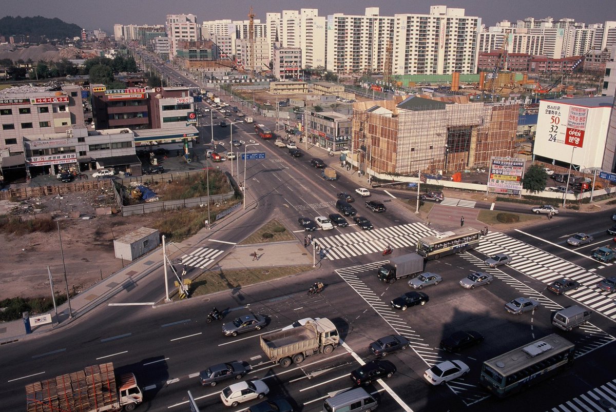 늘푸른소나무 tweet media