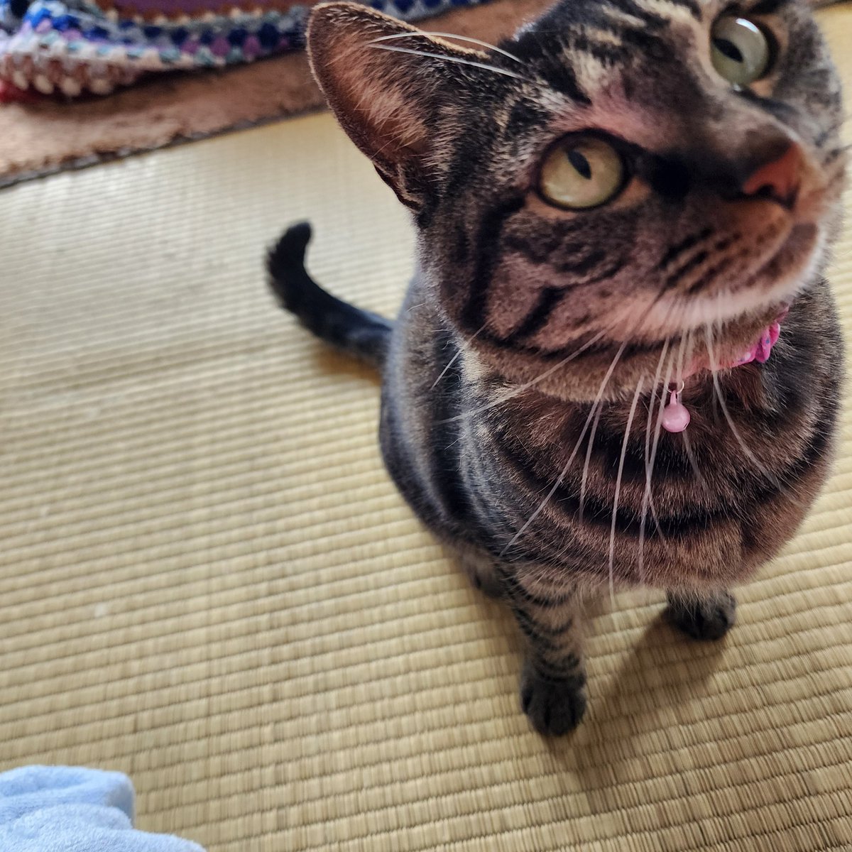 アンナ tweet media