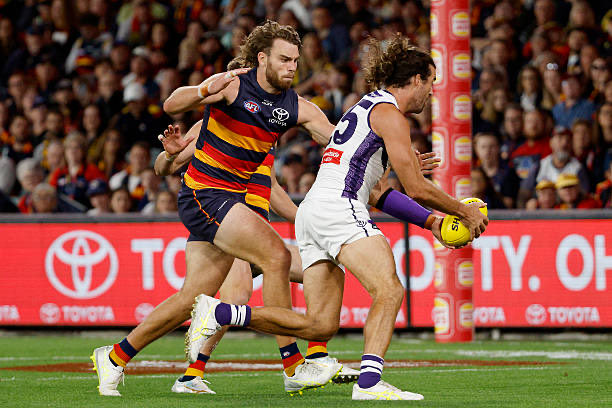 JΛDelaide tweet media