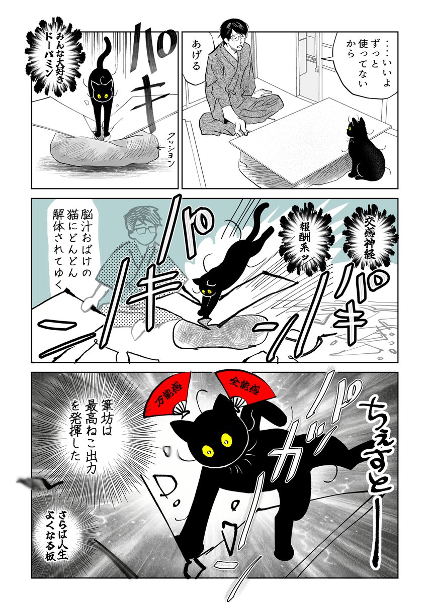🐈‍⬛「こっち見んな」

(6/7) 
