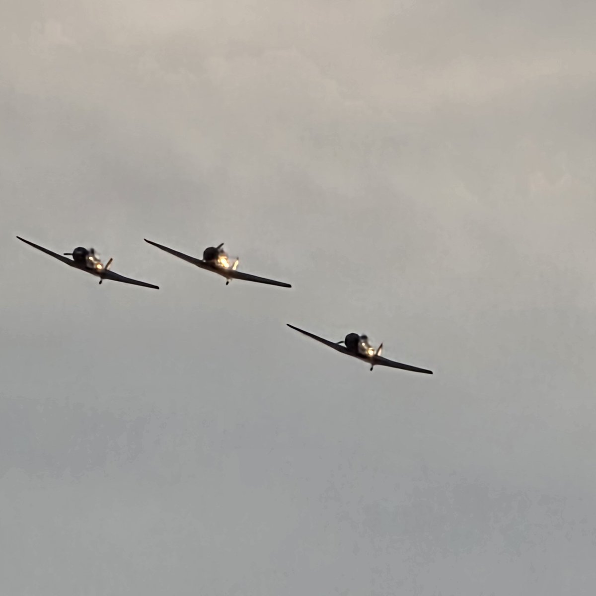 𝕁𝕒𝕪 𝔹𝕠𝕓 & 𝕊𝕠𝕟𝕤 tweet media