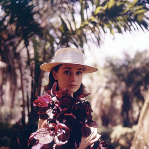 At the Cinema tweet media