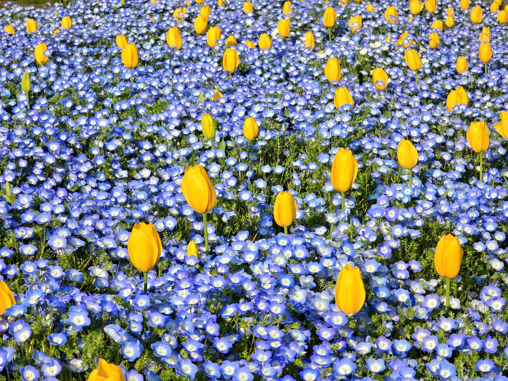 エメロン🐢🐈‍⬛ ͗🐌🦭(⚯̫ ﾐэ)Э🚪🌙🔎💐 tweet media