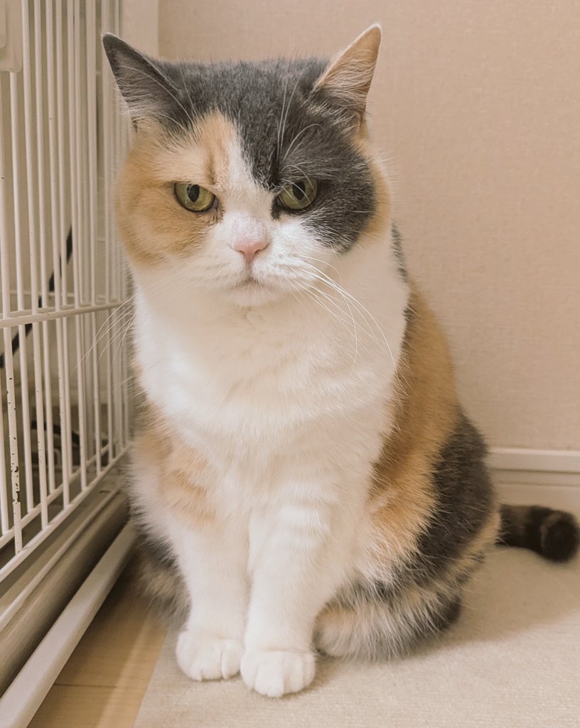 サイン描きも今日から終盤戦に突入✨