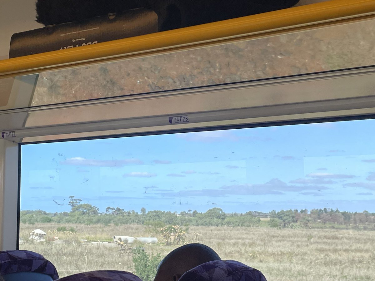 まめぞう@海外子育てx音楽xFamily tweet media