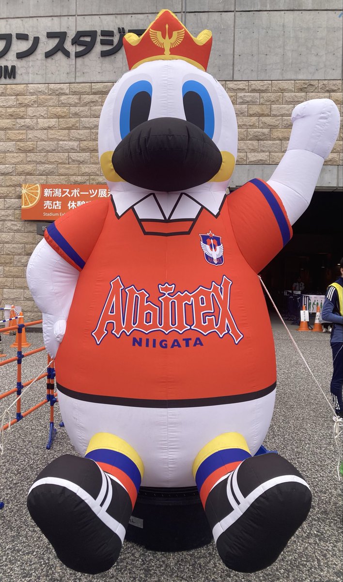 おもち tweet media