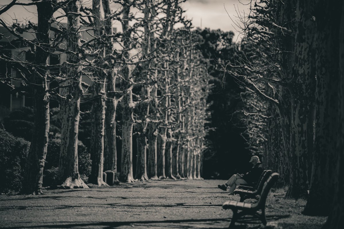 野崎有真 tweet media