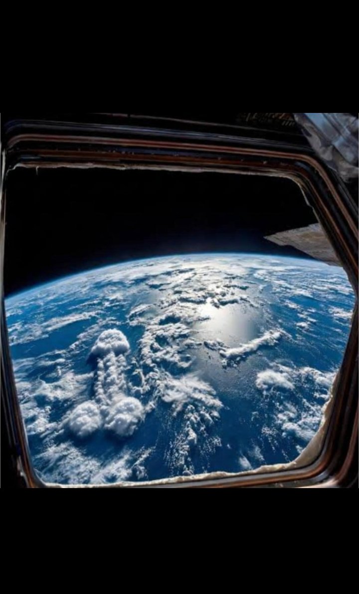 EL PUMA® tweet media