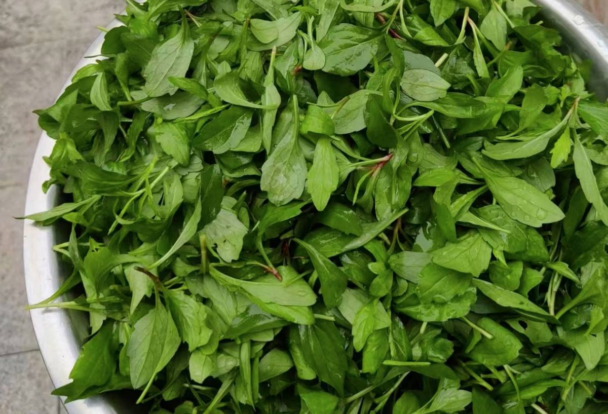 Valerie Strasse tweet media