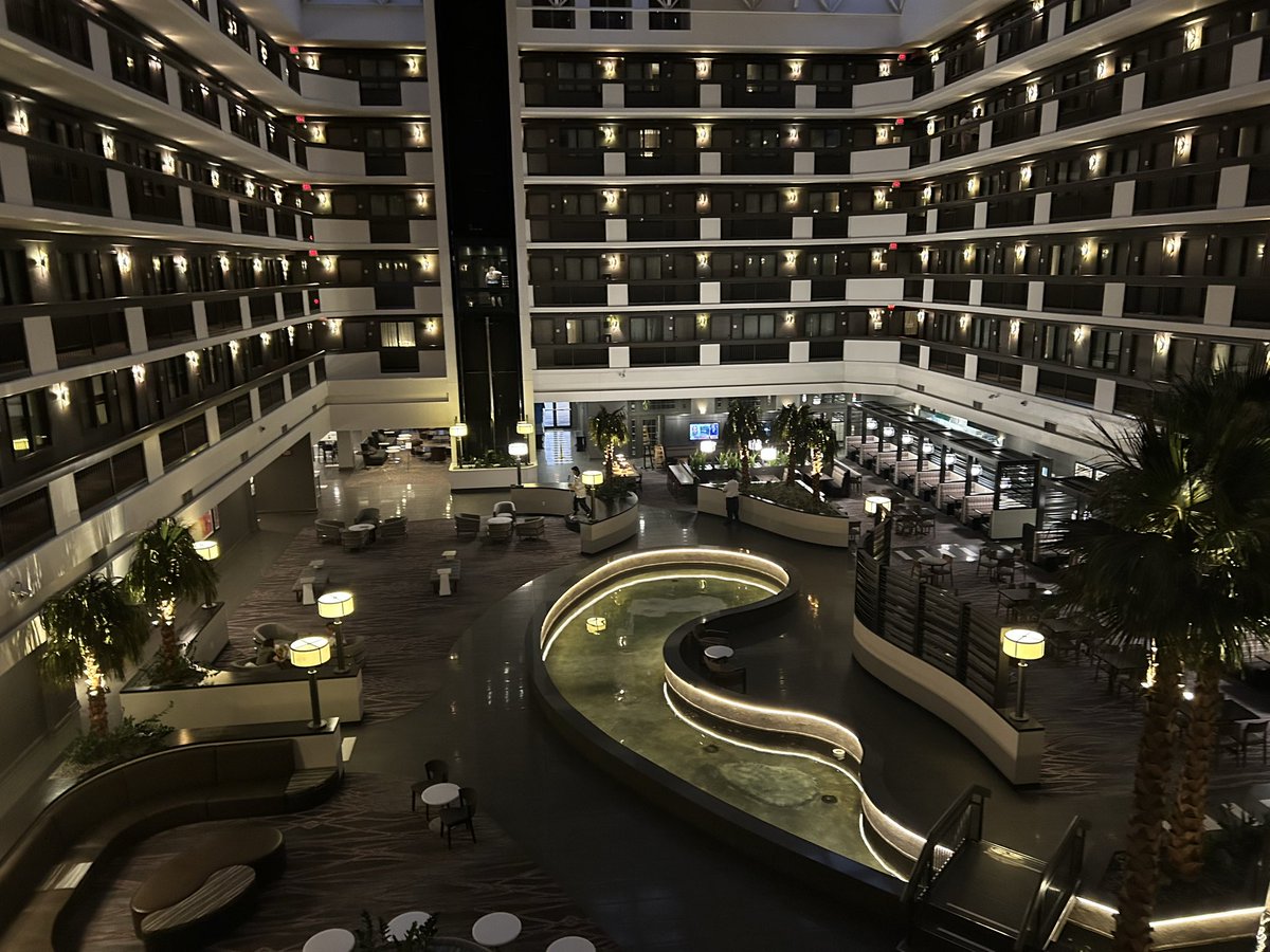 💙 Le Fenneć de Scree 💛 tweet media