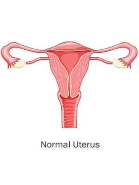 NCAA Buzzer Beaters & Game Winners tweet media