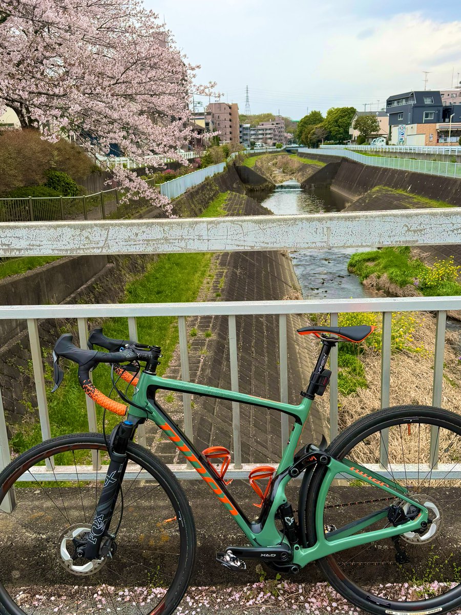 🐈‍⬛あれ🐾 tweet media