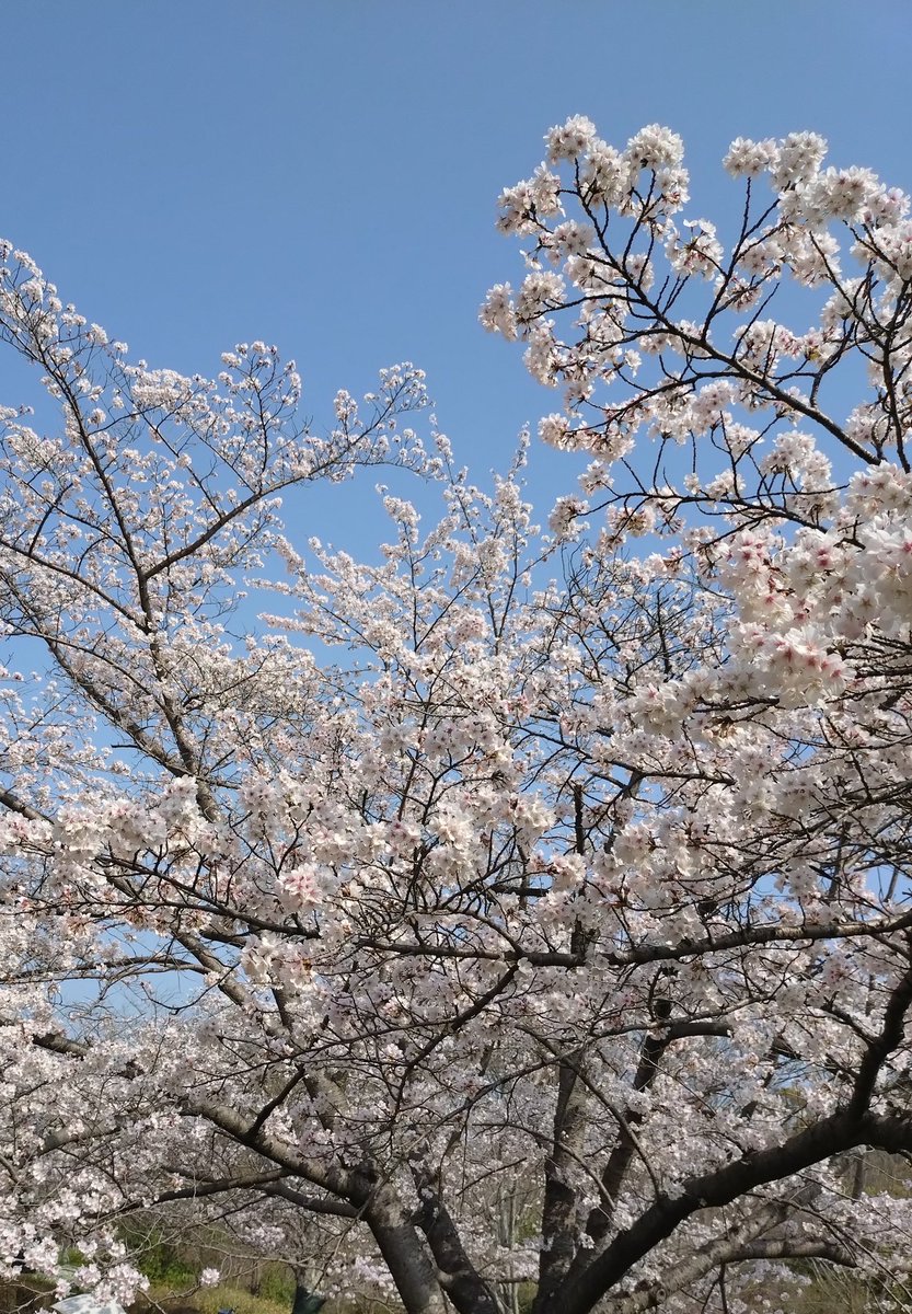 brokenburgh tweet media