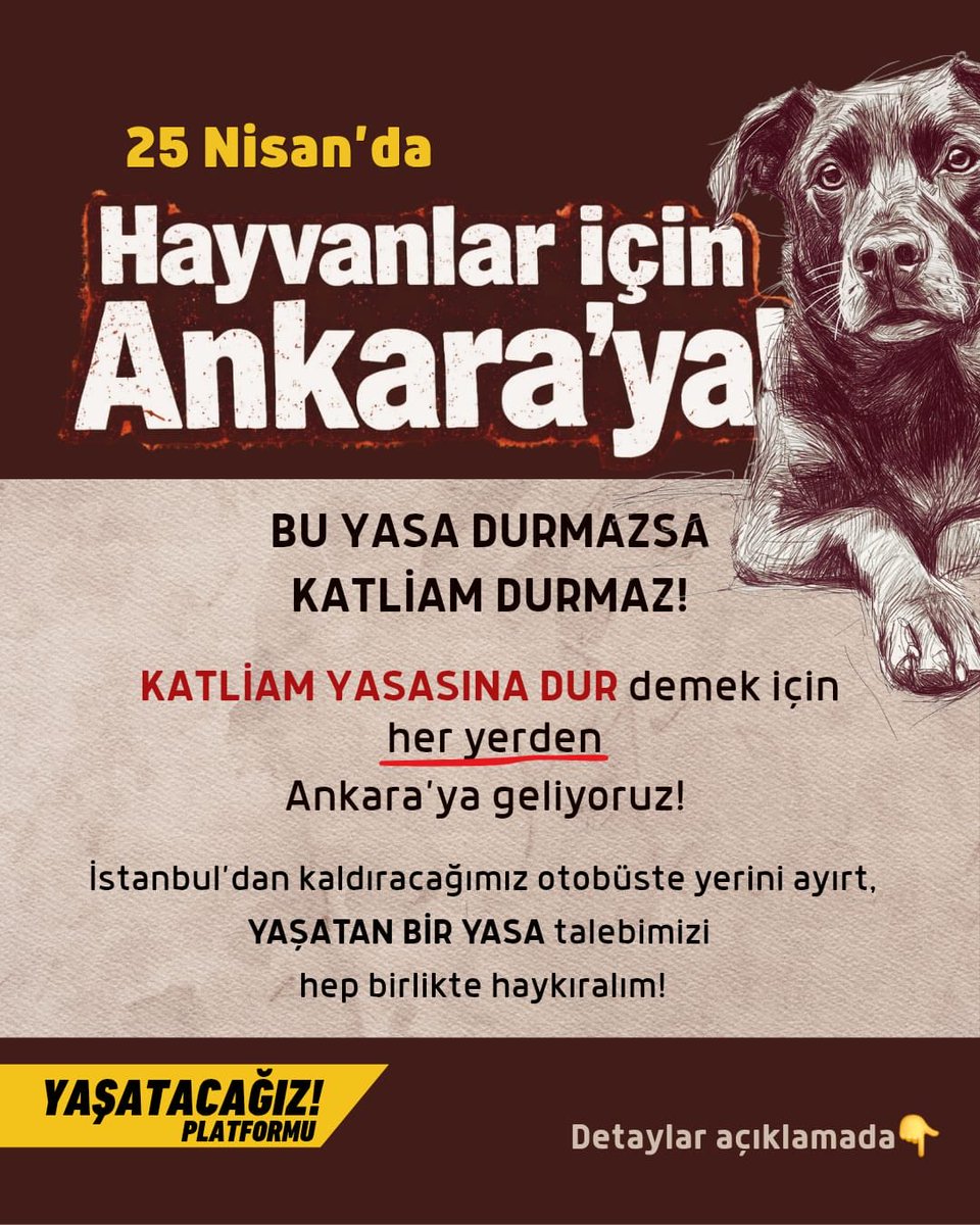 Binler oraya akmalı... Katillere dur denmeli !

#DünyaSokakHayvanlarıGünü
#TürkiyedeKatliamVar